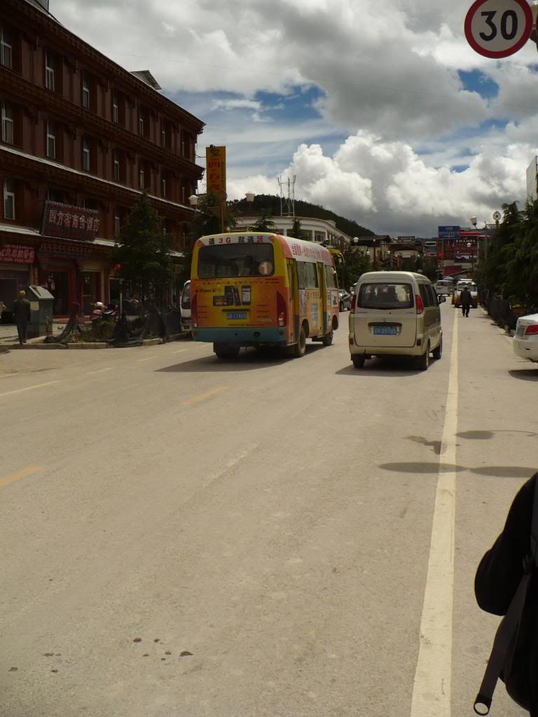 P1010183.jpg