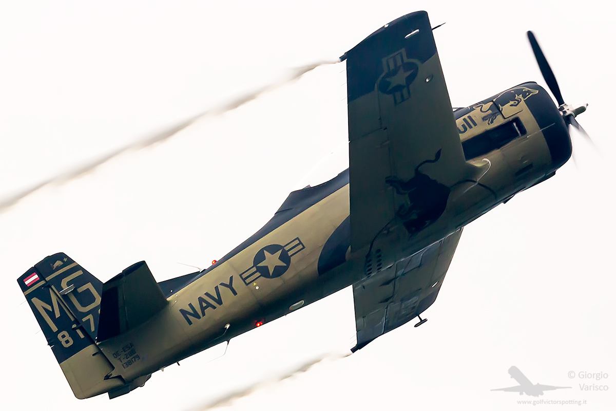 _MG_4944_060919.jpg