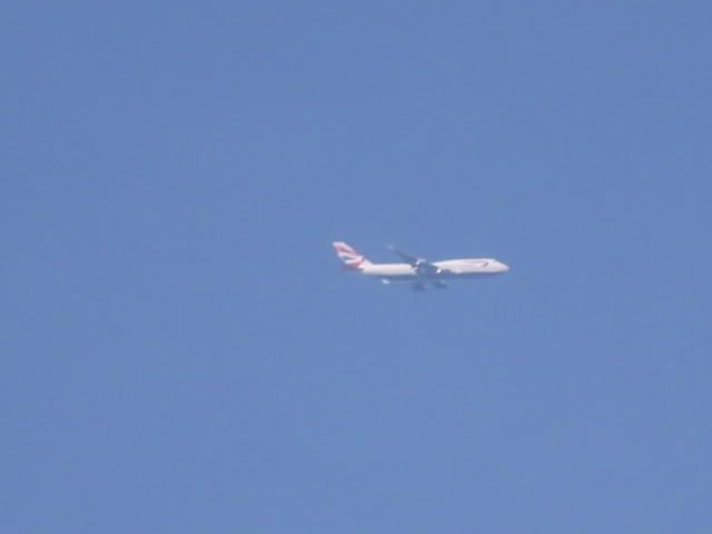 IMG_0181.jpg