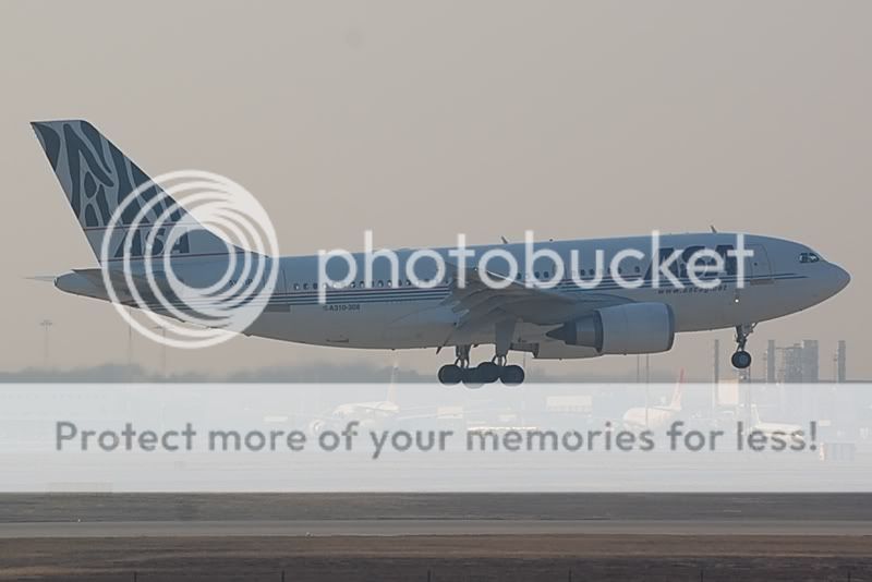 DSC_5258.jpg