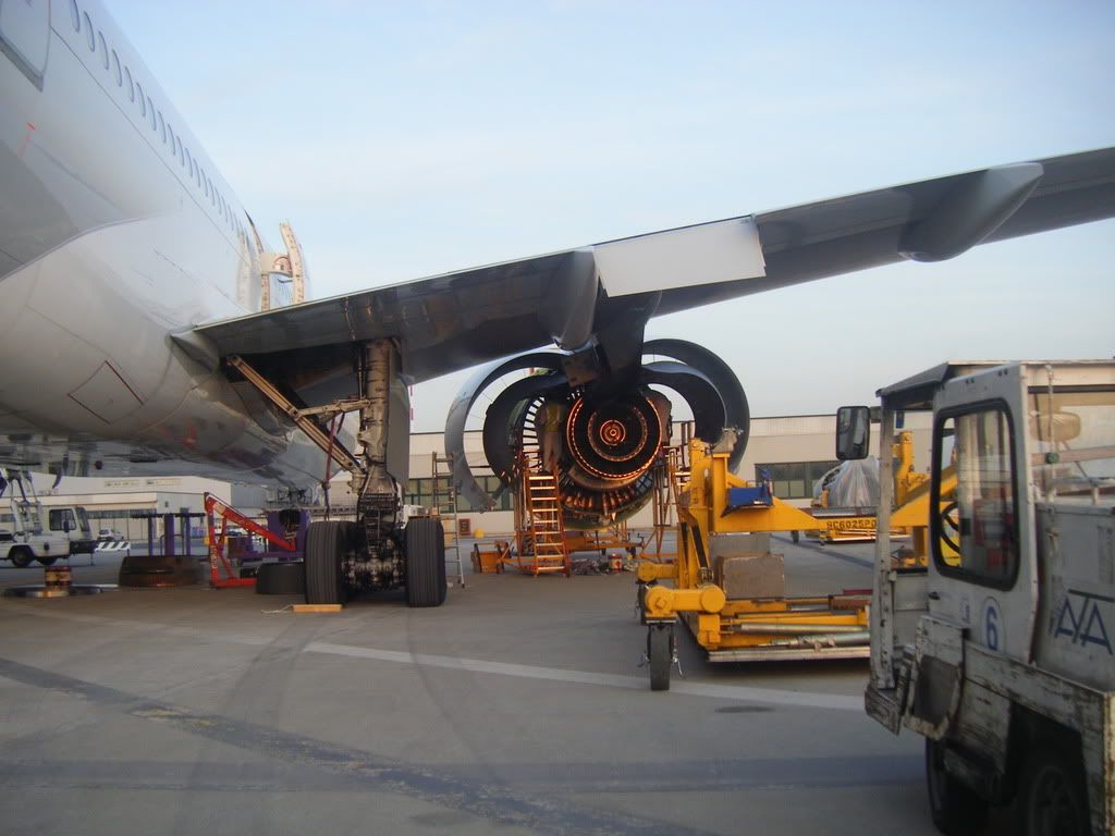 af6.jpg