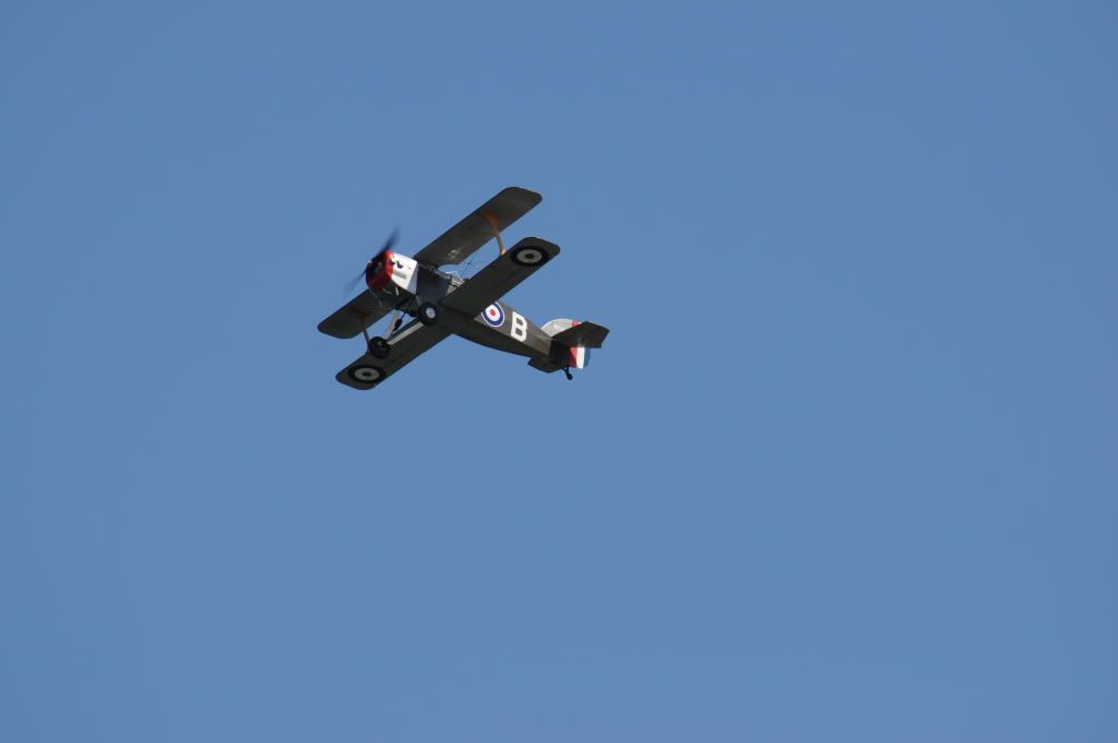 DSC_0266.jpg