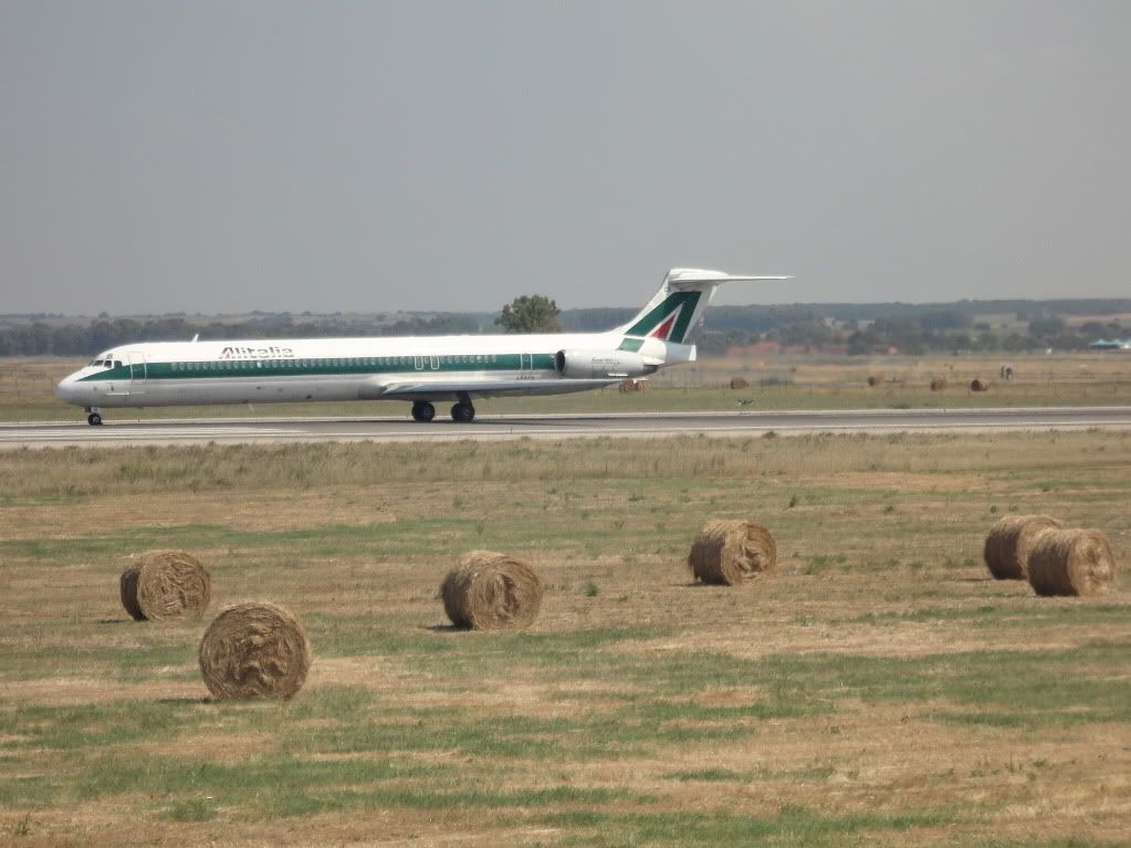 DSC00306.jpg