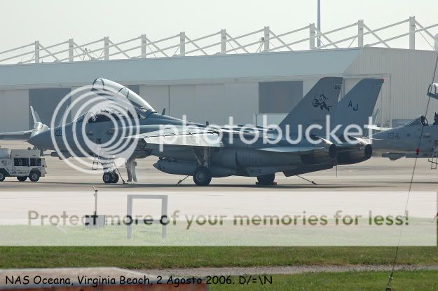Tomcat105_02_DF.jpg