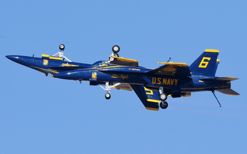 52023674413_981e338a64_o.jpg