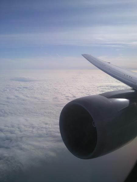 02032009028.jpg