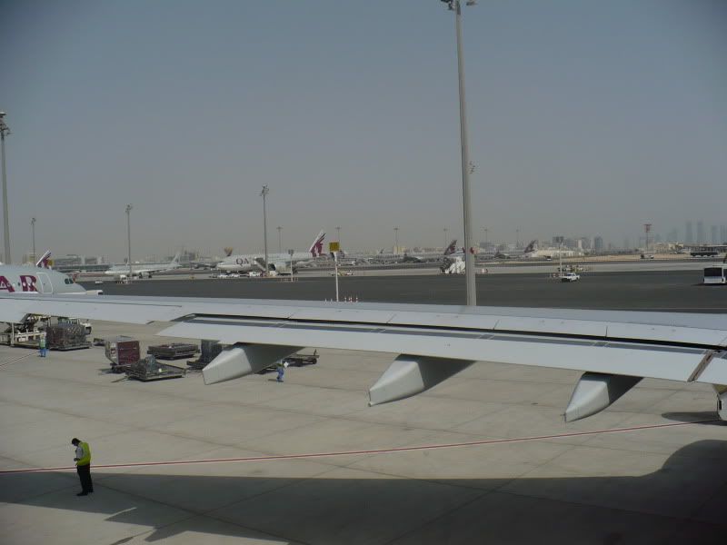 P1020161.jpg