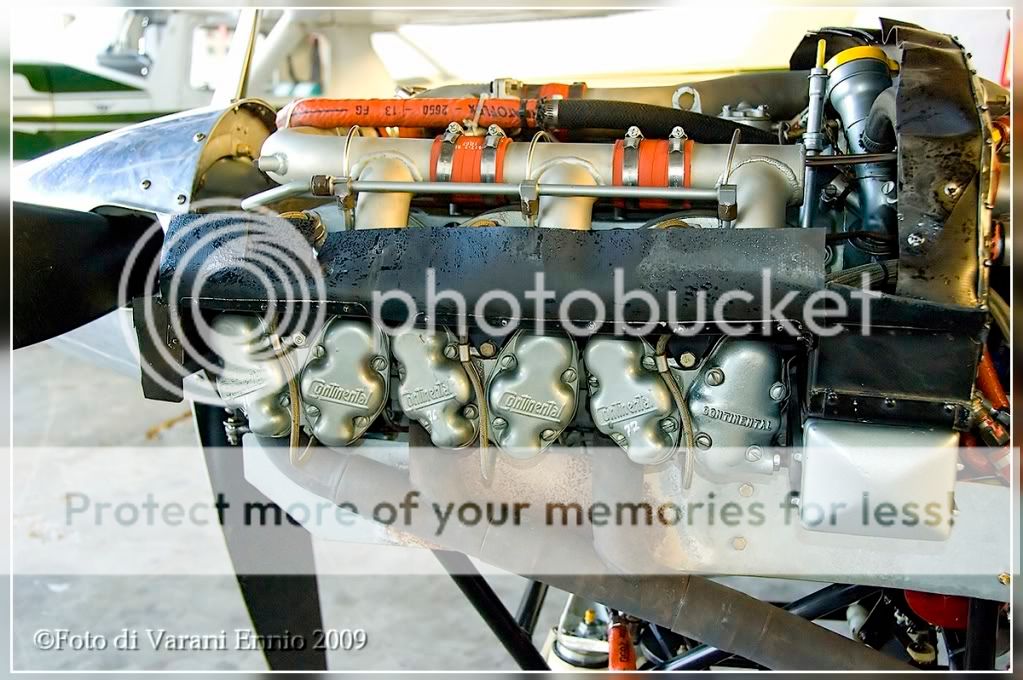 DSC_5345.jpg