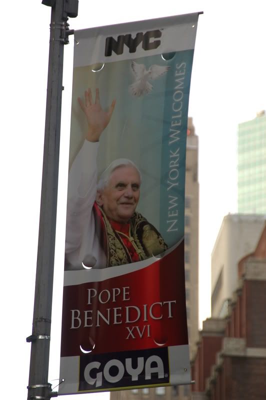 DSC_8557.jpg
