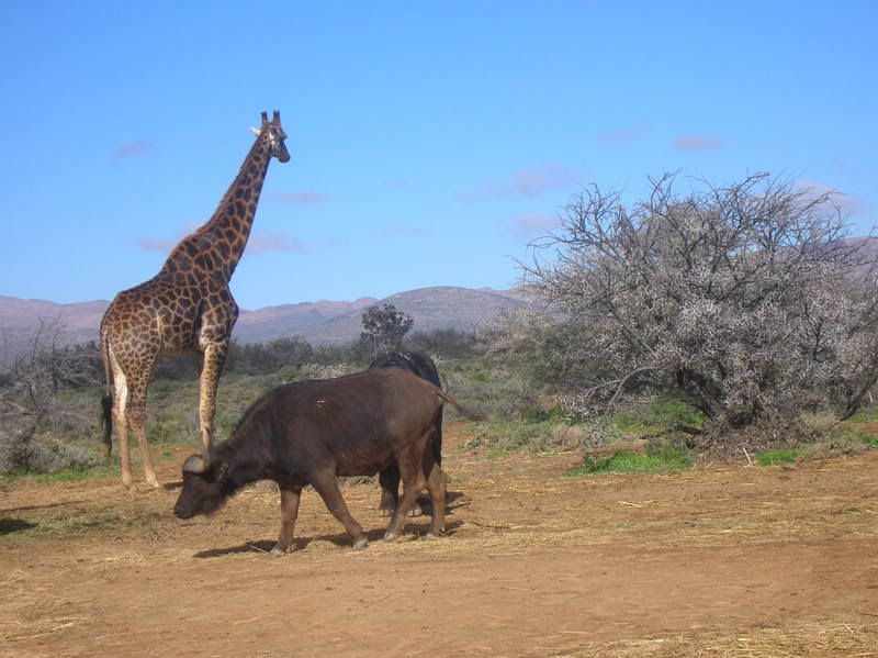 DSCN5061.jpg