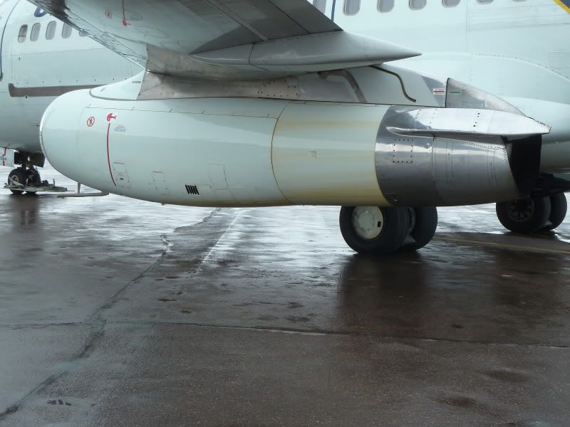 P1170026.jpg