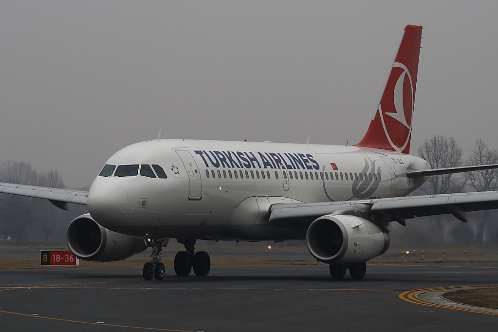 A319TurkishAirlines.jpg