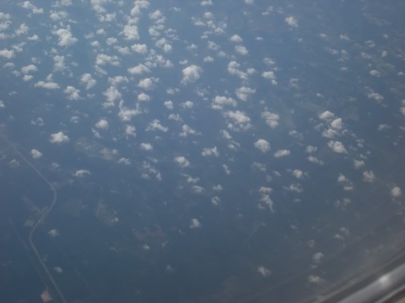 DSCN5140.jpg