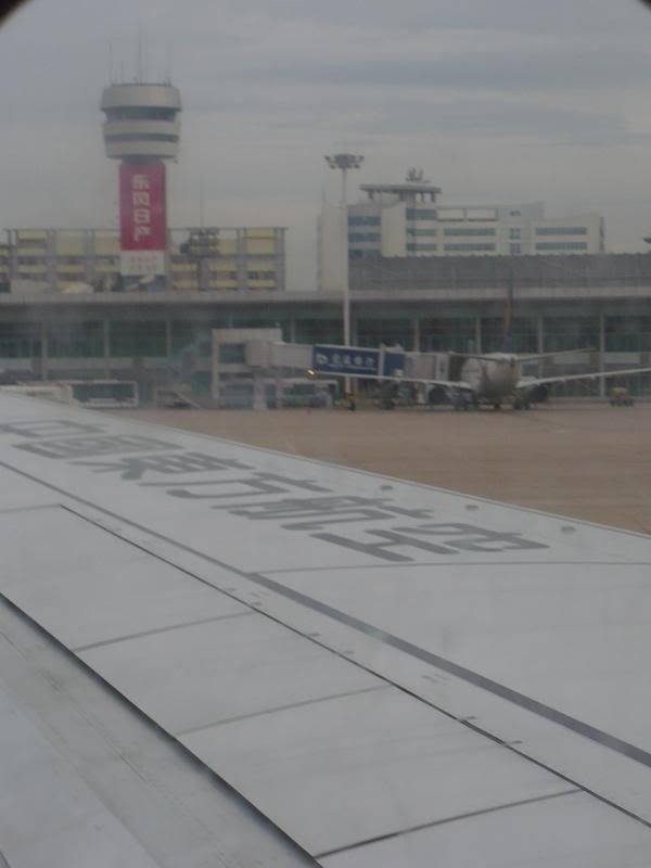 P1000959.jpg