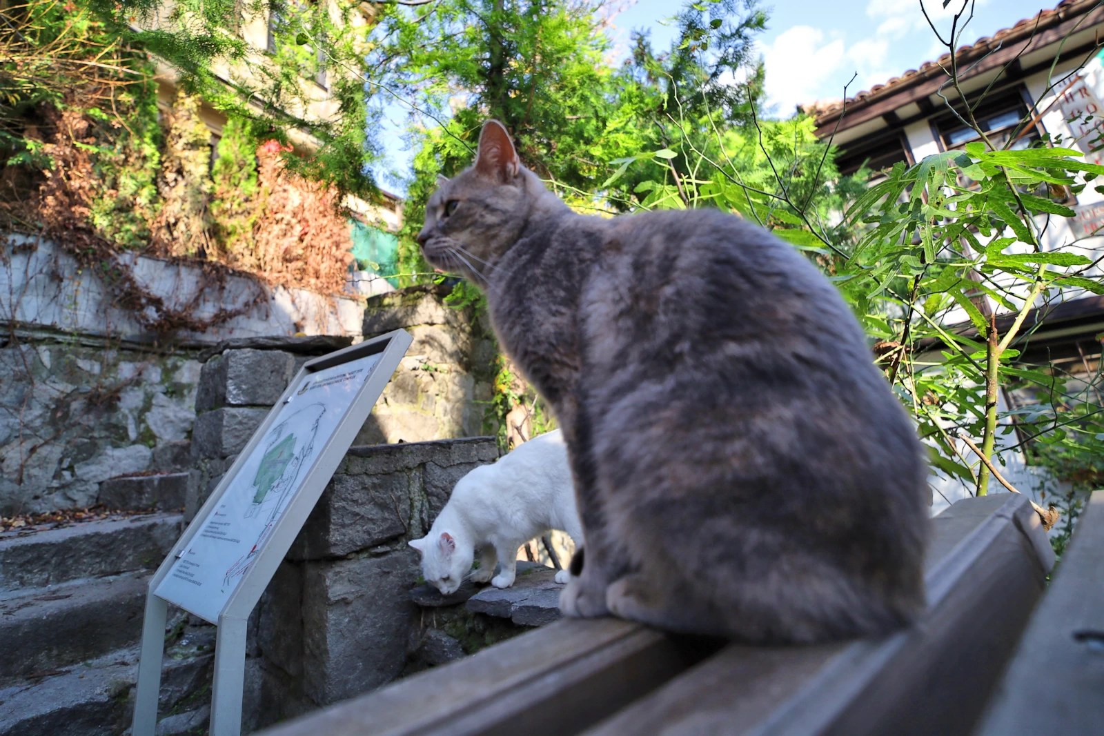055.webp