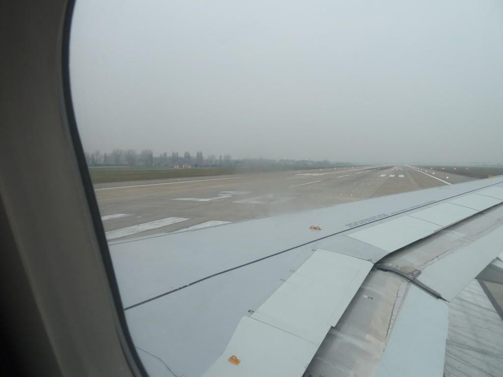P1000235.jpg
