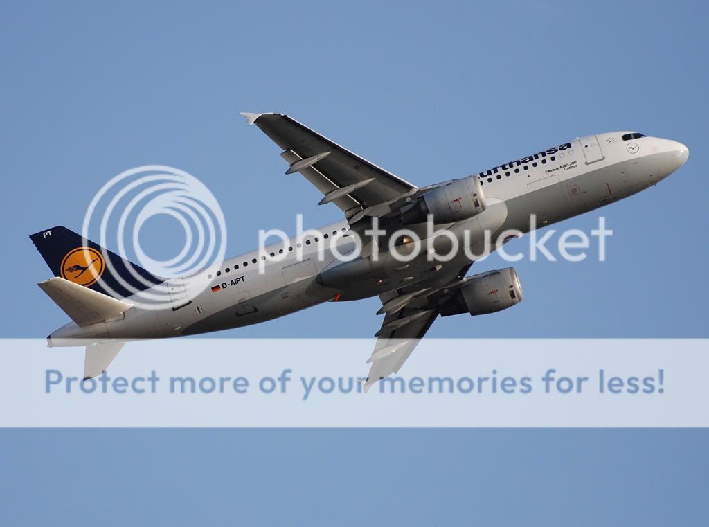 D-AIPT.jpg