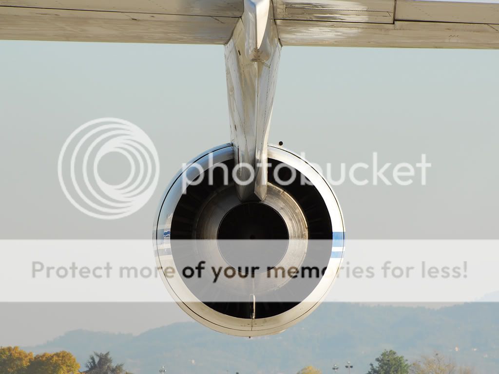 _DSC_8679.jpg