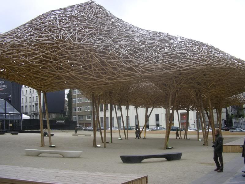 IMGP0613.jpg