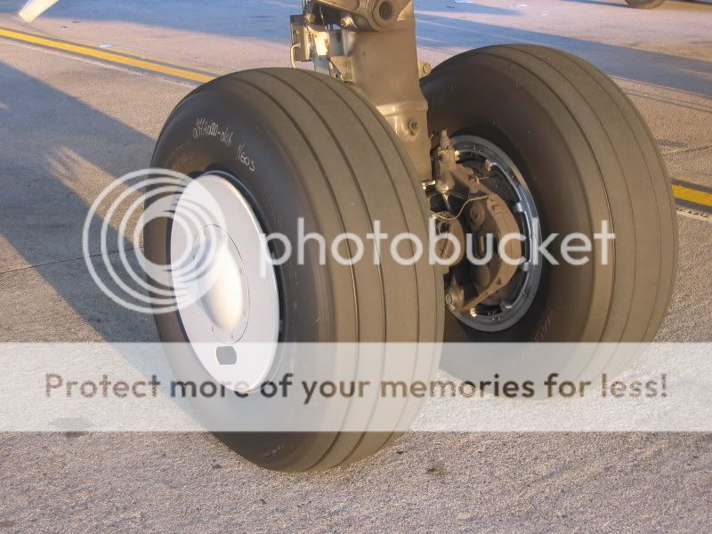 flight009.jpg