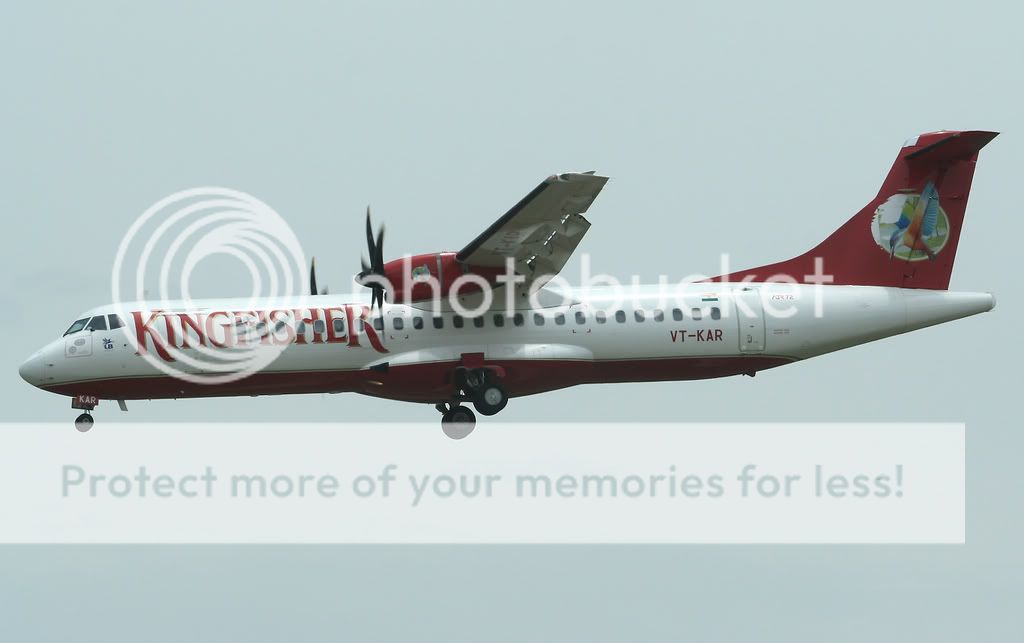 005-KINGFISCHER-VT-KAR-ATR724.jpg