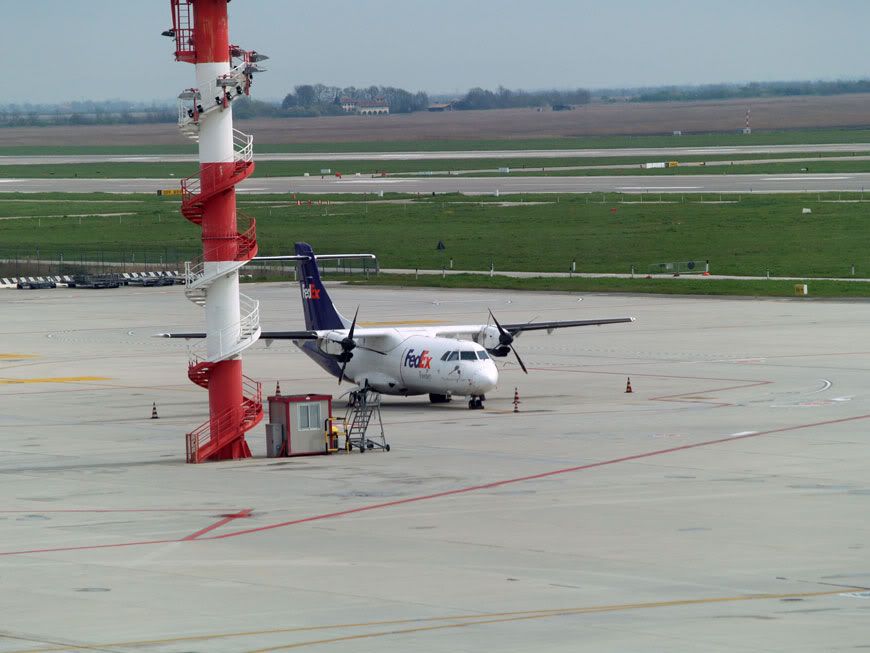 P1014561.jpg