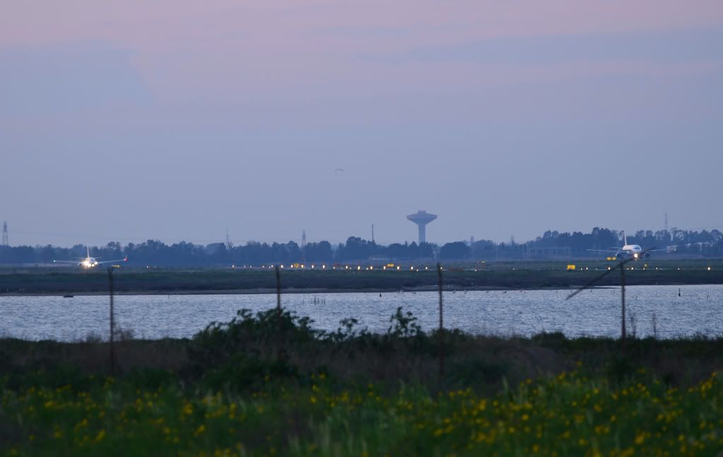 DSC_4104.jpg