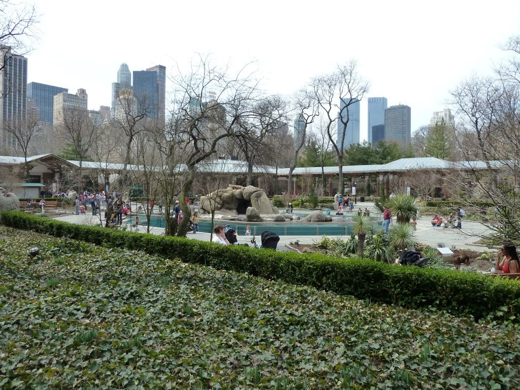 P1000677.jpg