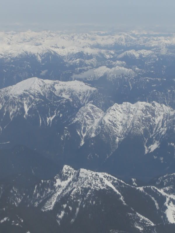 CIMG7974.jpg