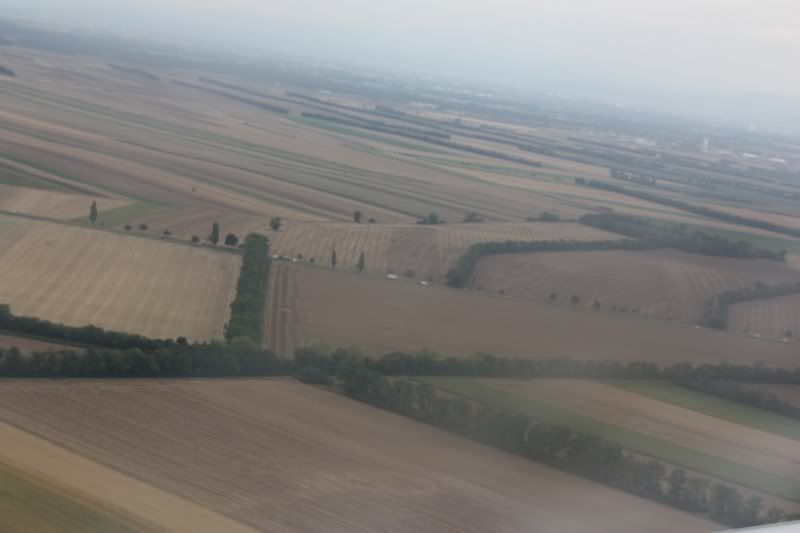 P31.jpg
