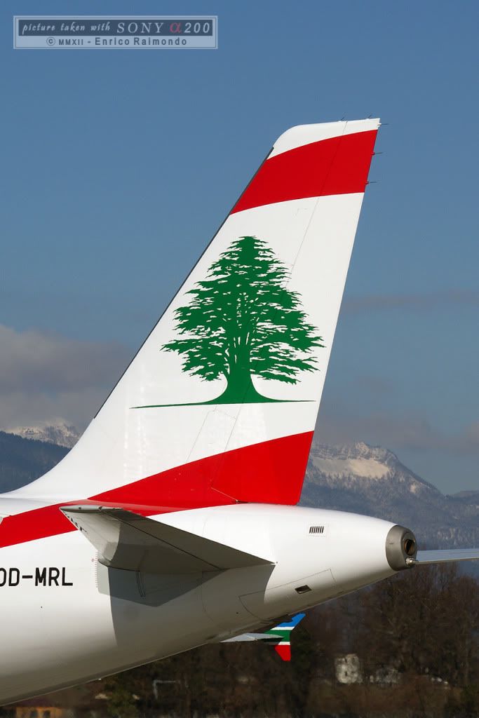 Airbus-A320-MEA-tail-GVA.jpg