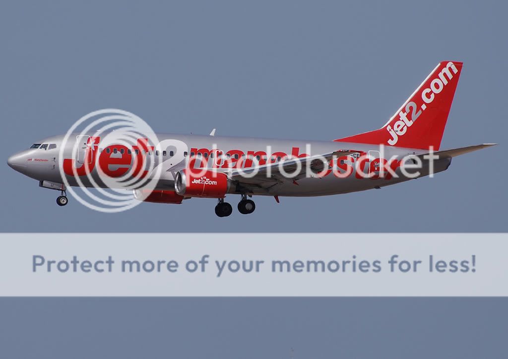 G-CELI1.jpg