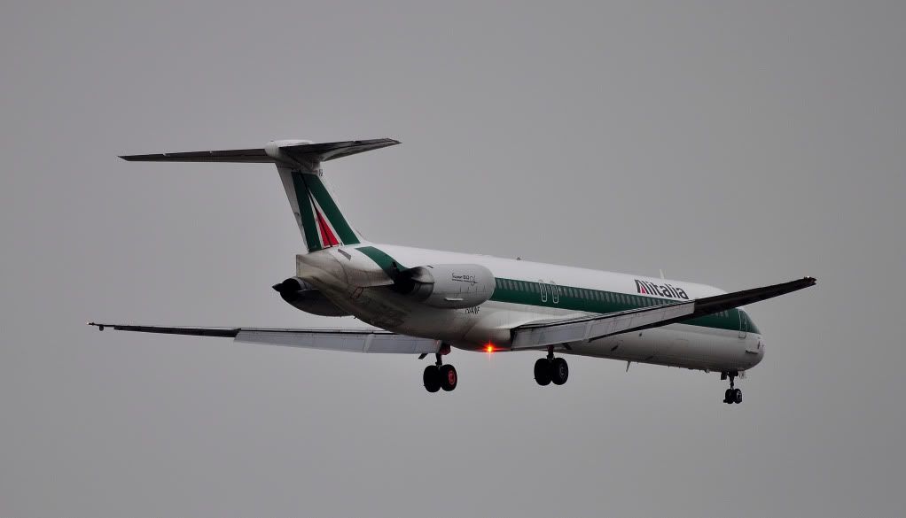 CSC_1415.jpg