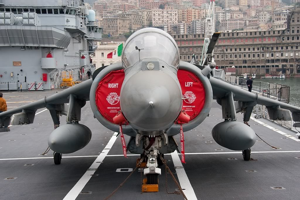 harrier1122.jpg