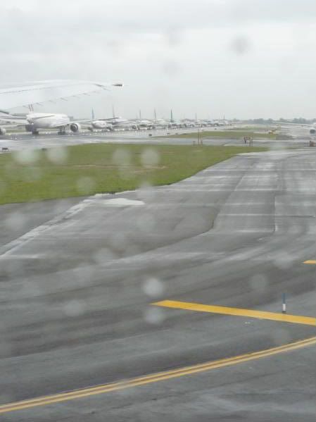 P1020153-1.jpg