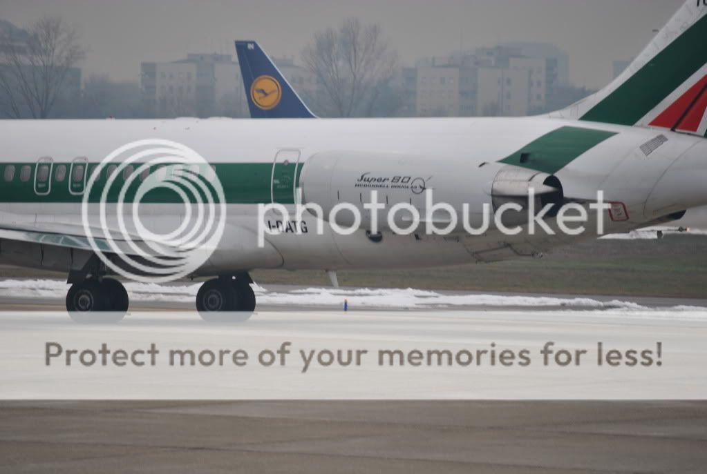 DSC_0113.jpg