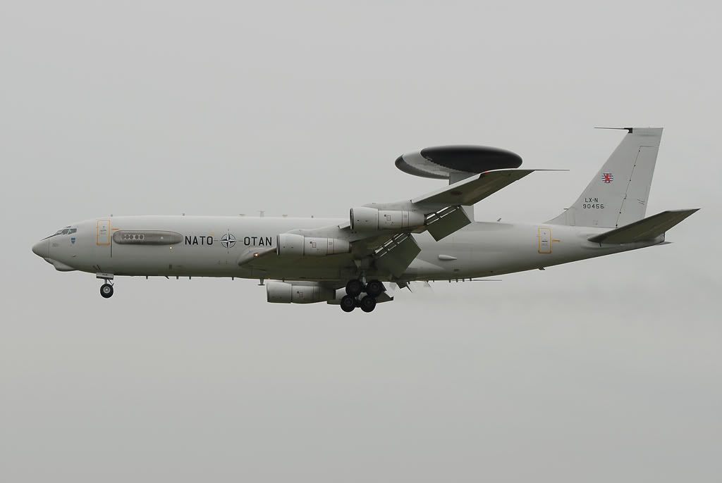 DSC_0126.jpg