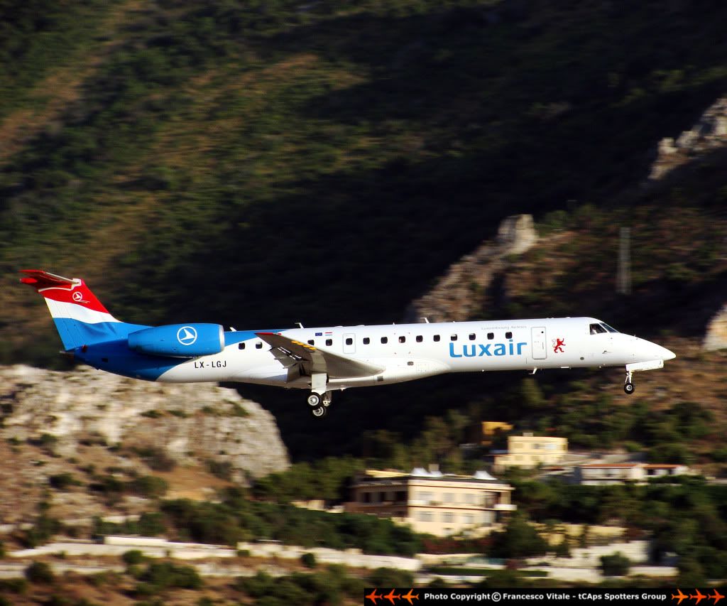 CopiadiDSC08988.jpg