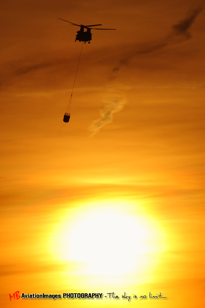 7949631348_57abc27771_b.jpg