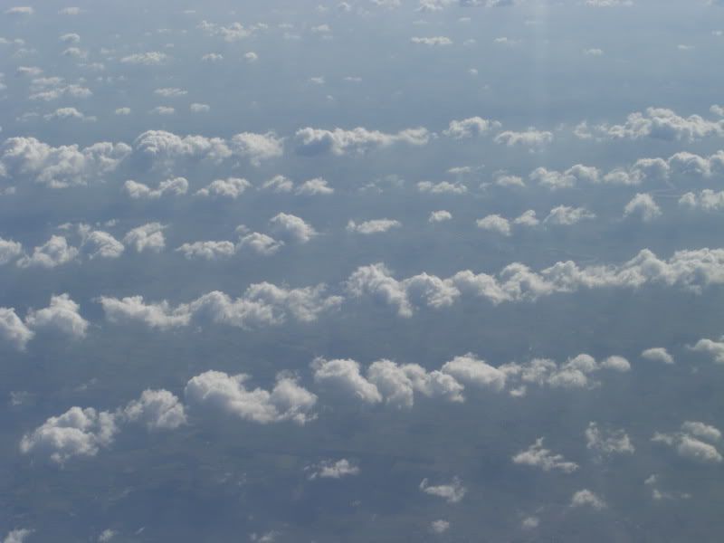 CIMG5802.jpg