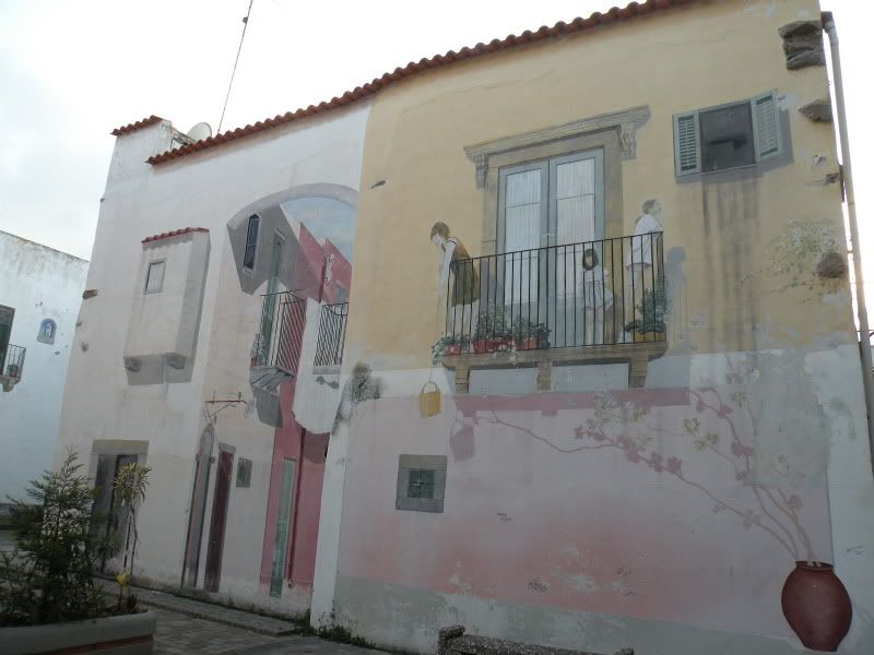 DSCN8096.jpg