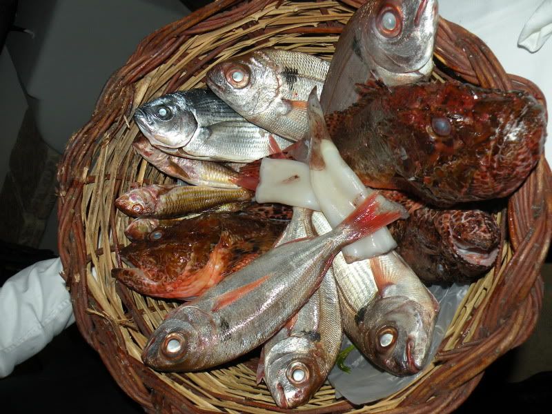 DSCN8223.jpg