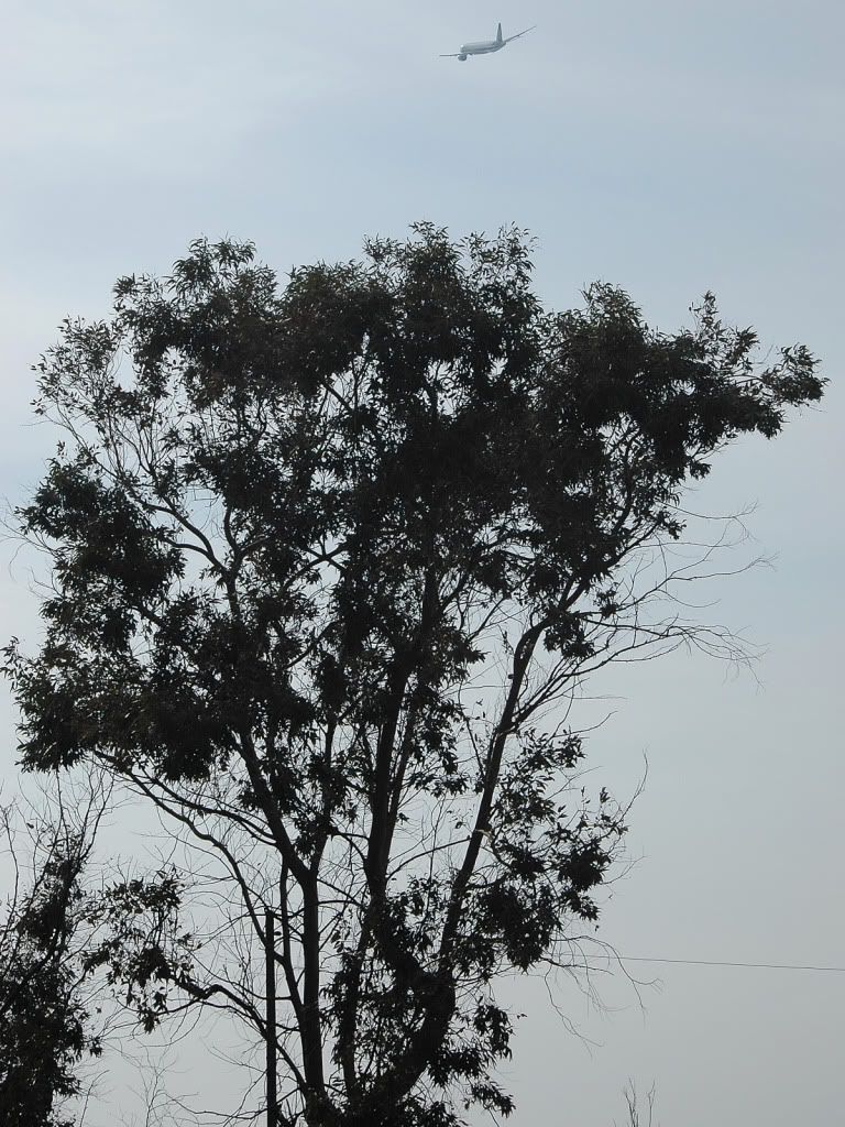 DSC_00310001.jpg