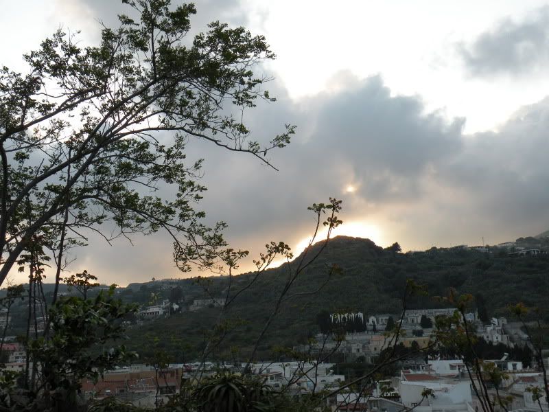 DSCN8099.jpg