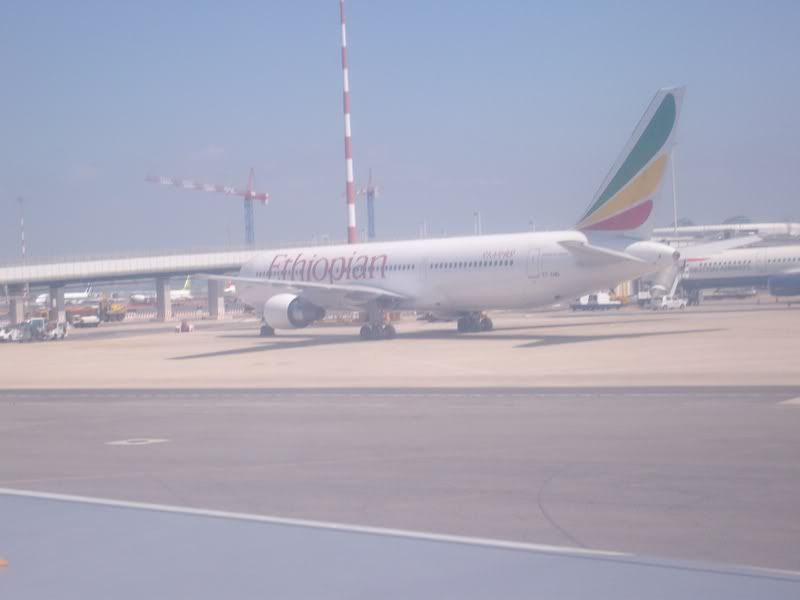 ALIM2177.jpg