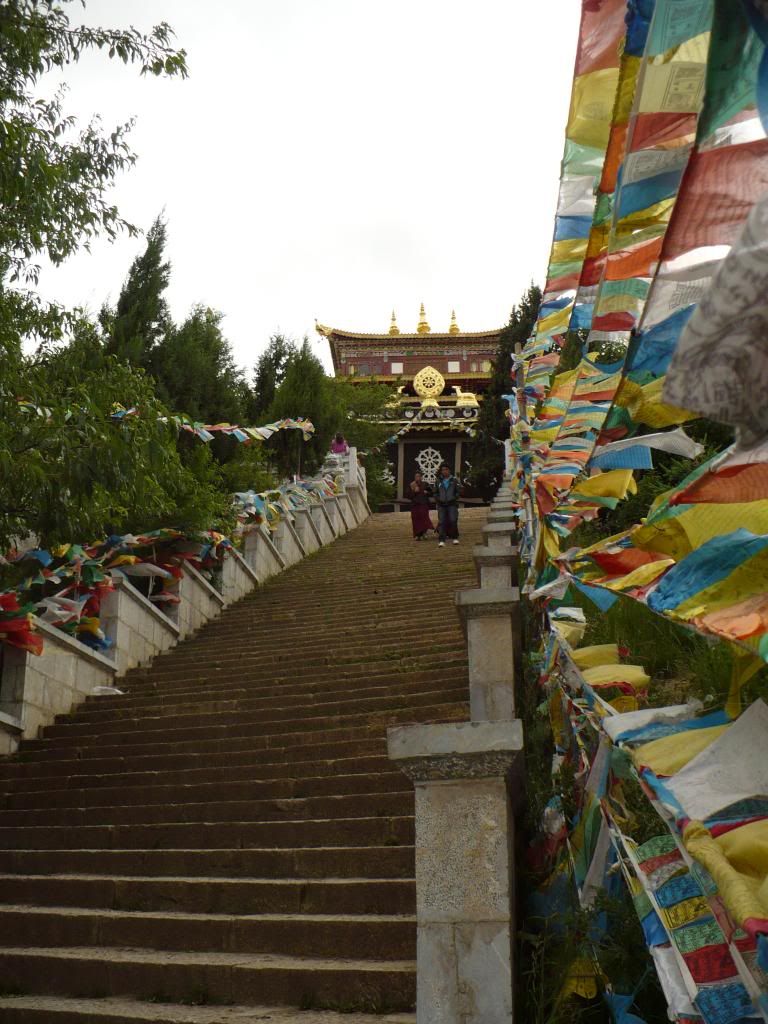 P1010329.jpg