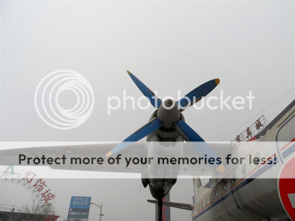 SAM_0038_zpsb2378d48.jpg