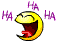 137.gif