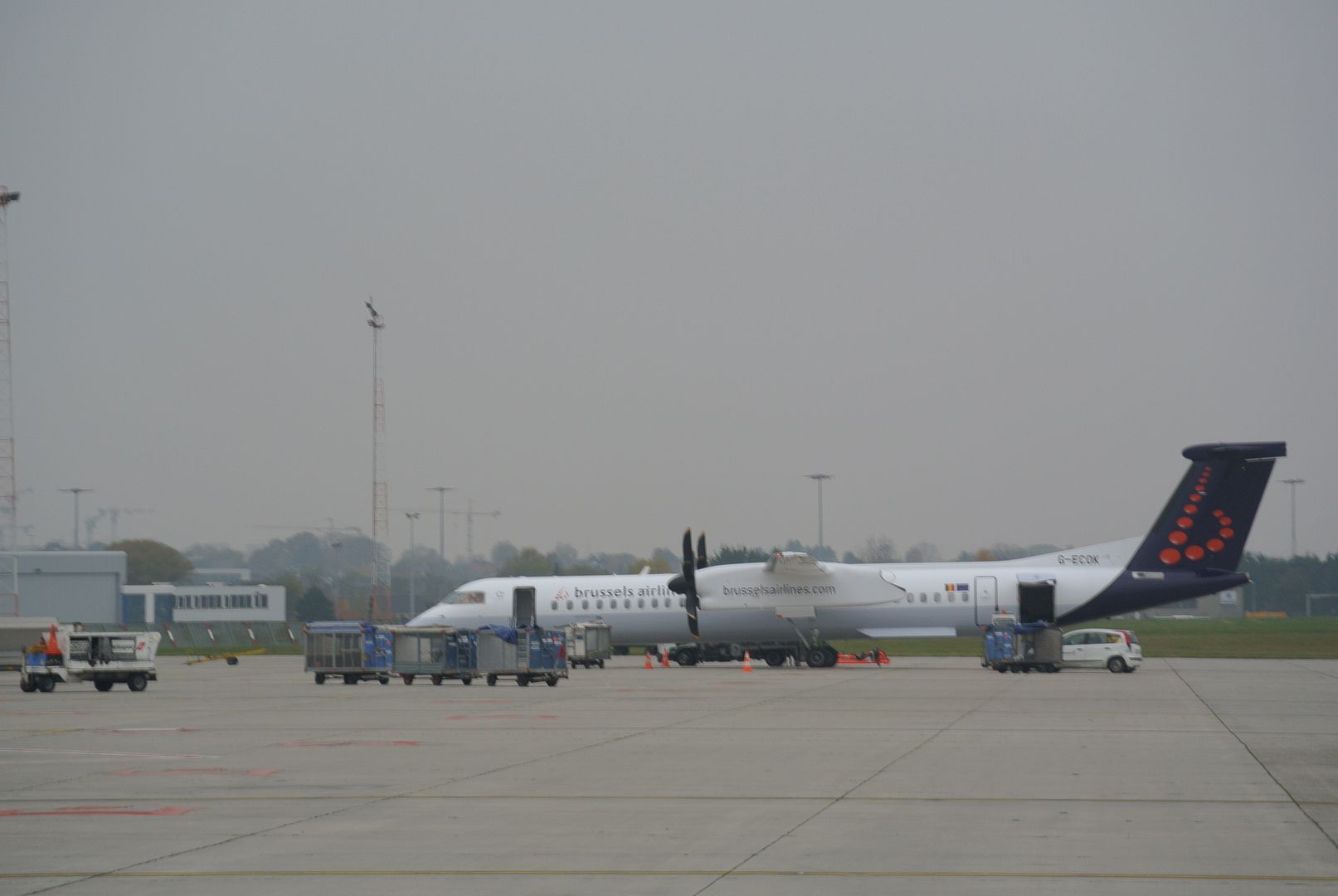 DSC_1450.jpg