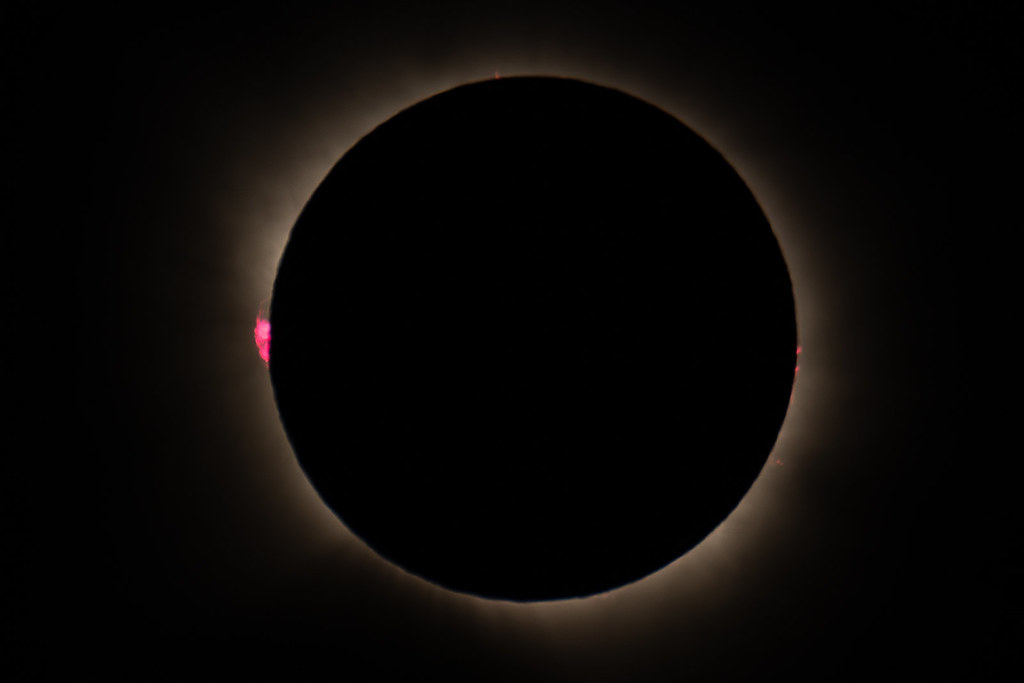 55466309522_5809b39b87_b.jpg